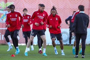 开云在线平台-今夜体能课后，莱比锡迎来里程碑备战欧冠，更衣室稳定，更衣室氛围转暖的简单介绍